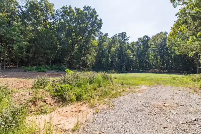 Sold wooded acreage on Cat Holler Road near Ozark, Arkansas